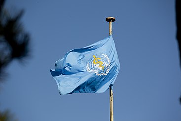 World Health Organization Flag.jpg