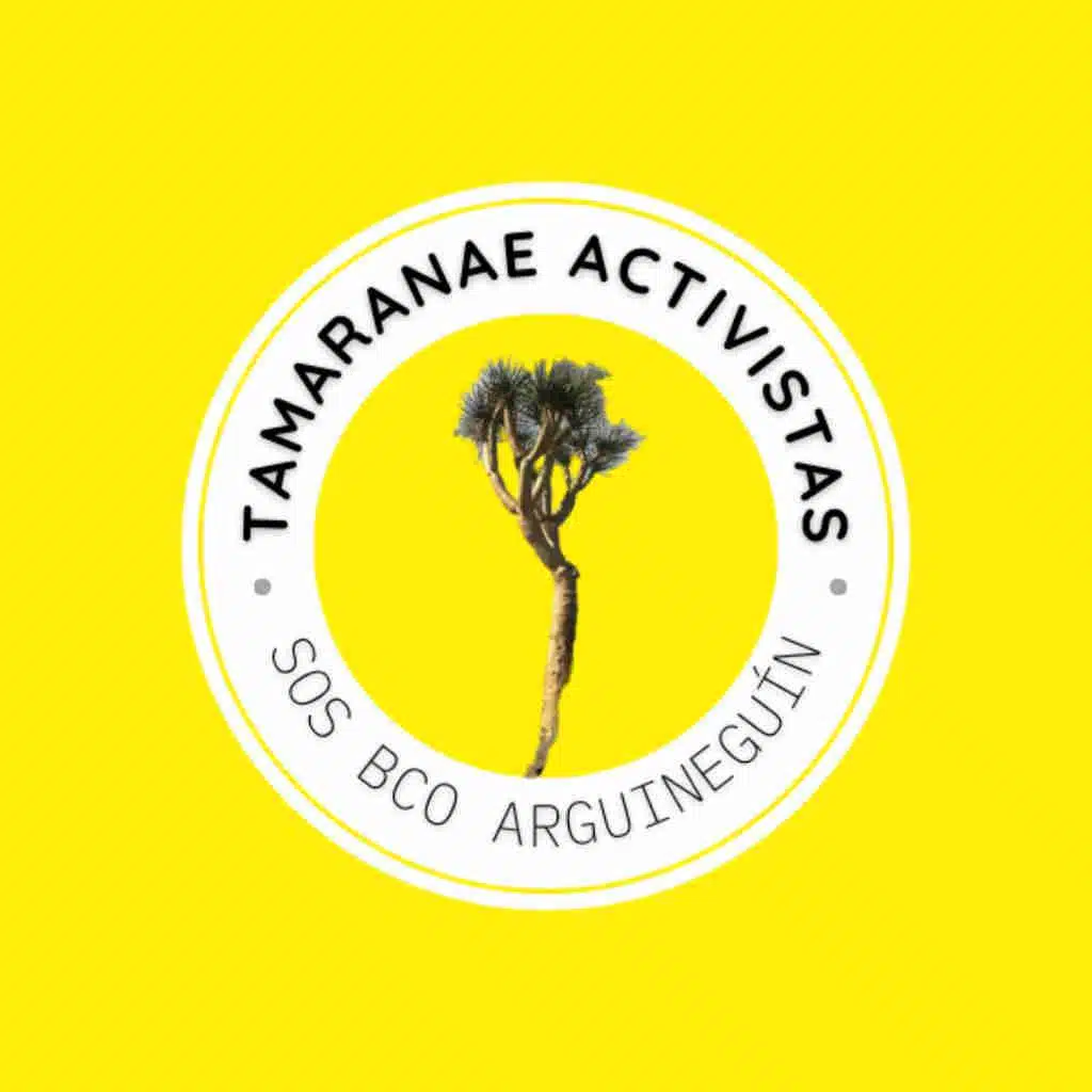 tamaranae2