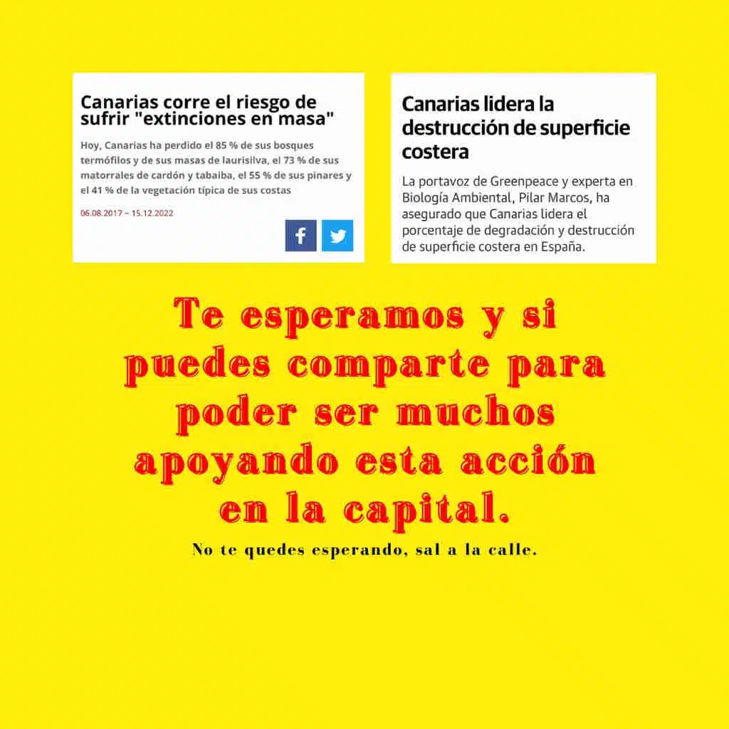 Rueda de prensa Tamaranae activistas Rueda de prensa Tamaranae activistas